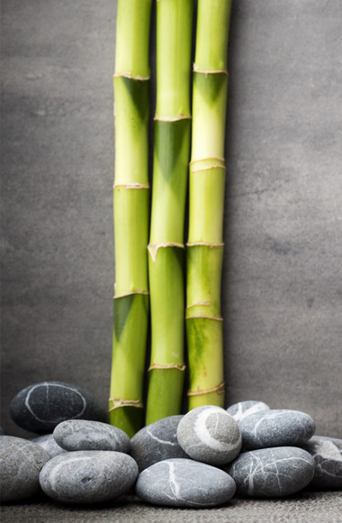 bambu 380x580